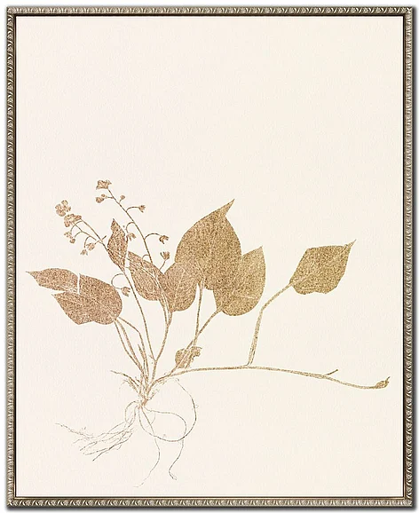Streamline Art Floral Trace III E845953