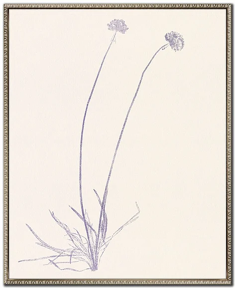 Streamline Art Floral Trace IV E845960