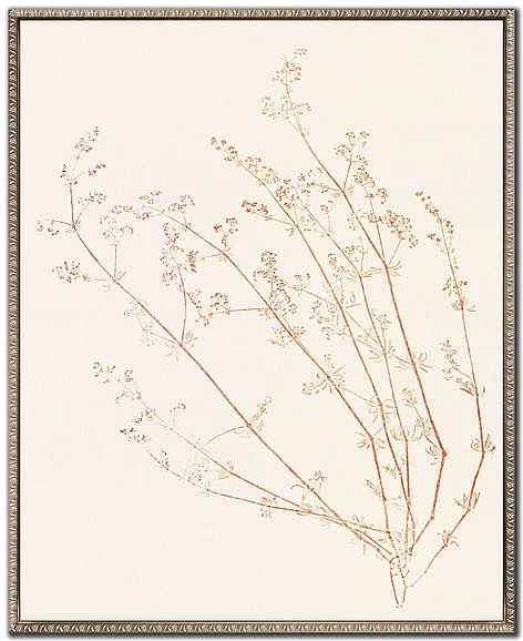 Streamline Art Floral Trace VI E845984