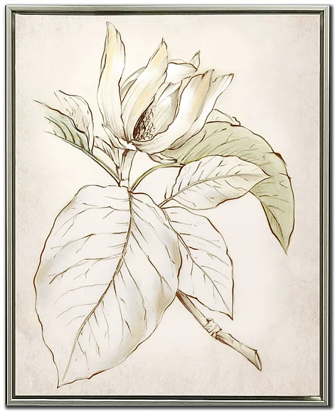 Streamline Art Botanical II E863780