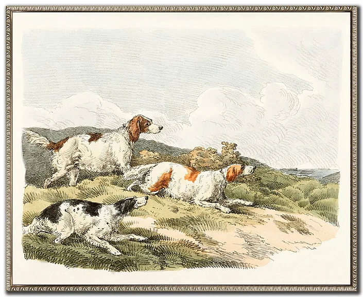 Streamline Art Hounds on the Hunt I E864220