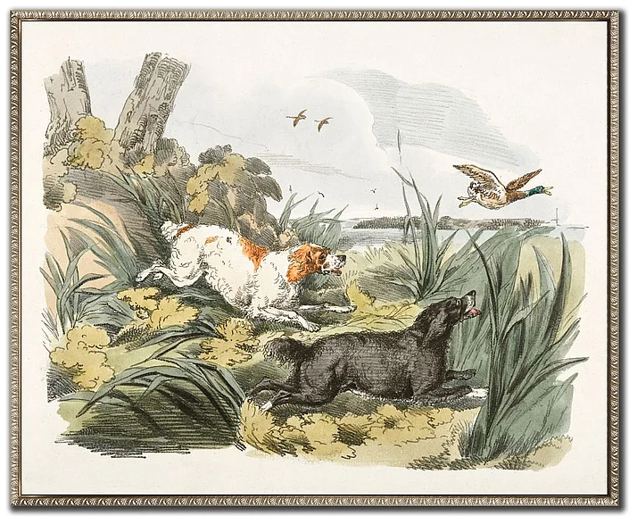 Streamline Art Hounds on the Hunt II E864237