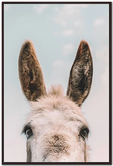 Streamline Art Downward Facing Donkey E864398