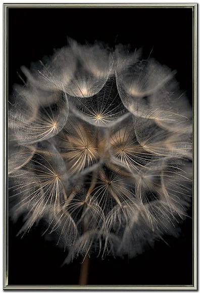 Streamline Art Fragile Beauty E864404