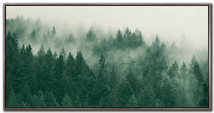 Streamline Art Emerald Forest E771276