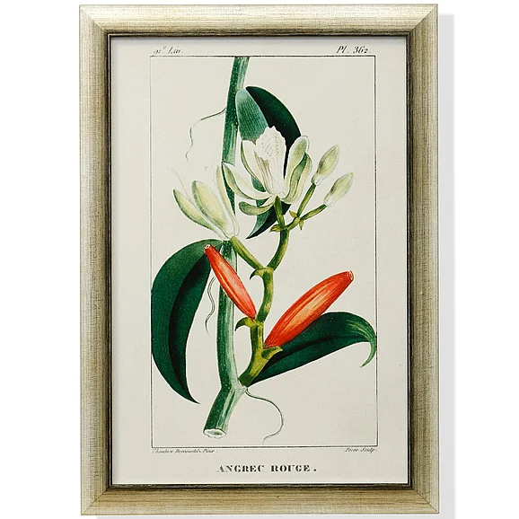 StyleCraft Framed Print Under Glass WM13053
