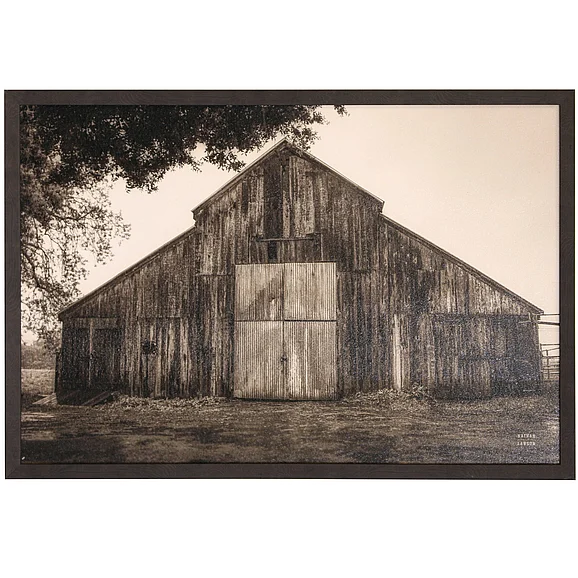 StyleCraft Hiding From The Rain Textured Framed Print WM24177