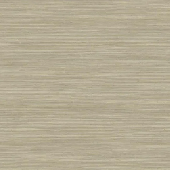 York Dazzling Dimensions Volume II E37 Shining Sisal Wallpaper in Cream Y6200906 (Double Roll) FedEx/UPS