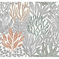 Coral